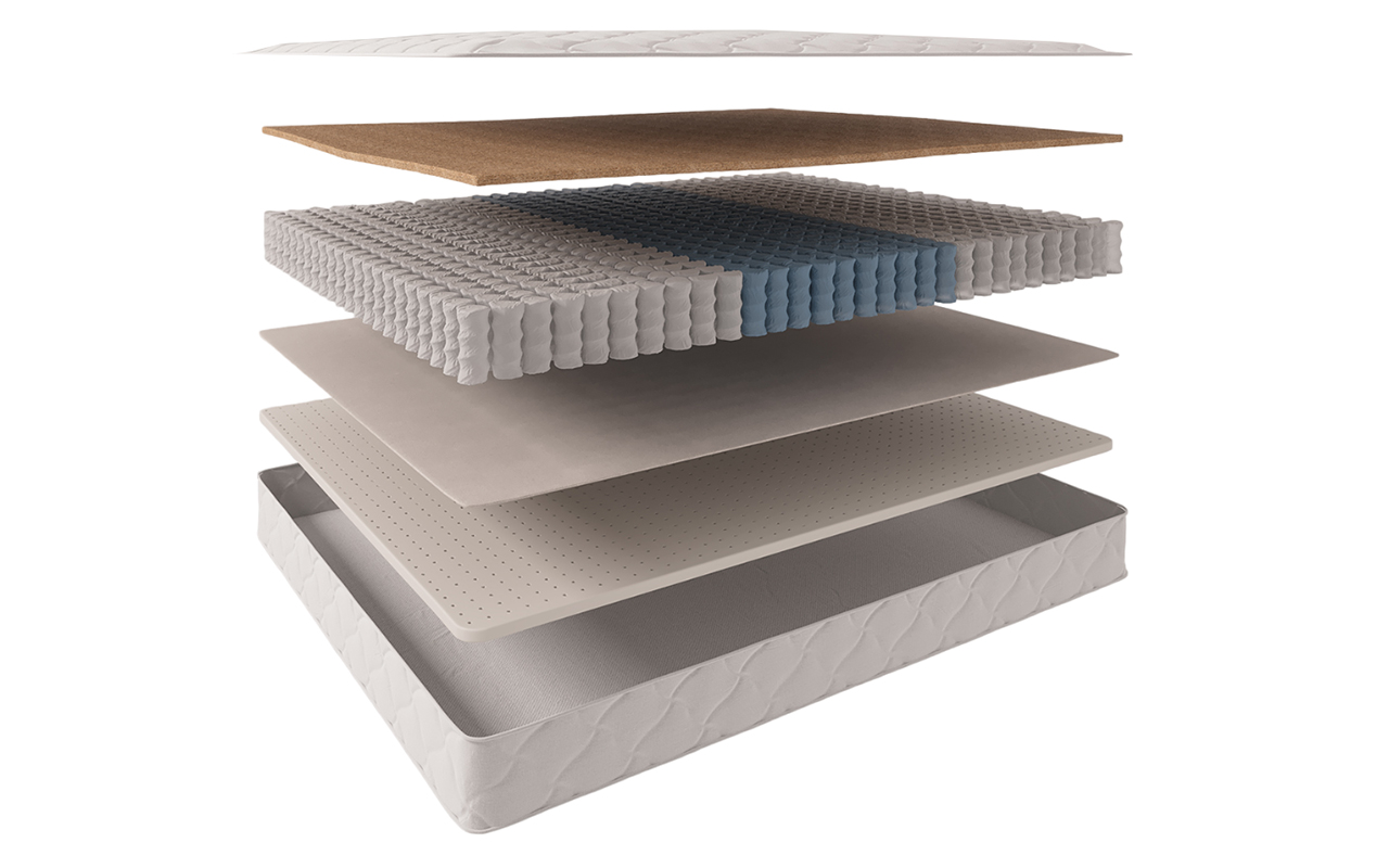 Evita Regular Synergy